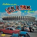 Skank - Multishow Ao Vivo No MineirÃ£o альбом