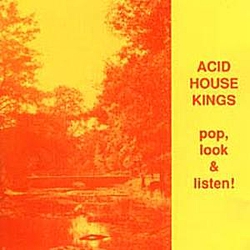 Acid House Kings - Pop, Look and Listen! album