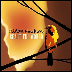 Aidan Hawken - Beautiful World album