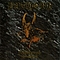 Bathory - Jubileum Volume III album