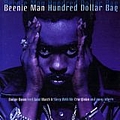 Beenie Man - Hundred Dollar Bag альбом