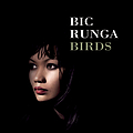 Bic Runga - Birds album