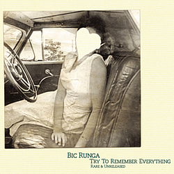 Bic Runga - Try To Remember Everything альбом