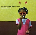 Big Head Todd And The Monsters - Beautiful World album
