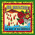 Big Mountain - The Best of Big Mountain album