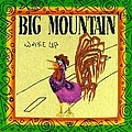 Big Mountain - Wake Up album