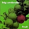 Big Umbrella - Fruit album