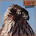 Blackfoot - Marauder альбом