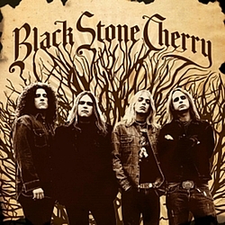 Black Stone Cherry - Black Stone Cherry album