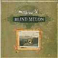 Blind Melon - The Best of Blind Melon album