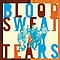 Blood Sweat &amp; Tears - What Goes Up: The Best of Blood, Sweat &amp; Tears альбом