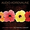 Audio Adrenaline - Live From Hawaii...The Farewell Concert album