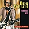 Bob Welch - Greatest Hits album