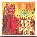 Little Feat - Ain&#039;t Had Enough Fun album