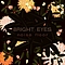 Bright Eyes - Noise Floor: Rarities 1998-2005 album