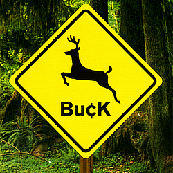 Buck - Buck album