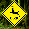 Buck - Buck альбом
