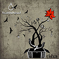 Buddahead - Ashes альбом