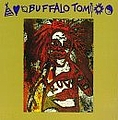 Buffalo Tom - Buffalo Tom album