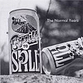 Built To Spill - The Normal Years album