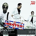 Busted - Who&#039;s David album