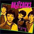 Buzzcocks - The Peel Sessions album