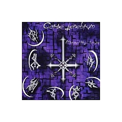 Carpe Tenebrum - Mirrored Hate Painting album