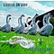 China Drum - Goosefair альбом