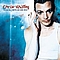 Chris Whitley - Perfect Day album