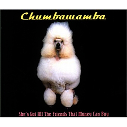 Chumbawamba - She&#039;s Got All the Friends That Money Can Buy album