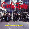 Circle Jerks - Wild in the Streets album