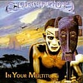 Conception - In Your Multitude album