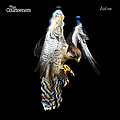 The Courteeners - Falcon album