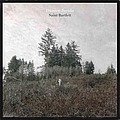 Damien Jurado - Saint Bartlett album