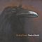 Darden Smith - Field of Crows album