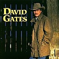 David Gates - Love Is Always Seventeen album