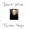 David Wilcox - Thirteen Songs album