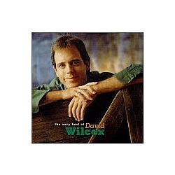 David Wilcox - The Best of David Wilcox album