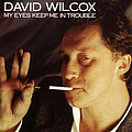 David Wilcox - My Eyes Keep Me In Trouble album