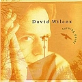 David Wilcox - Turning Point album