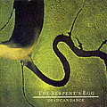 Dead Can Dance - The Serpent&#039;s Egg альбом