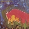 Meat Puppets - Meat Puppets II album