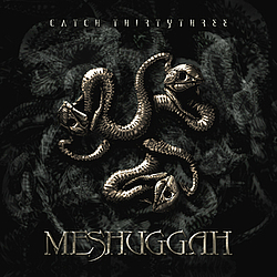 Meshuggah - Catch ThirtyThree album