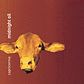 Midnight Oil - Capricornia album