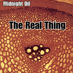 Midnight Oil - The Real Thing альбом