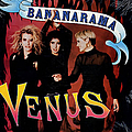 Bananarama - Venus album