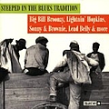 Mississippi Fred McDowell - Steeped in the Blues Tradition album