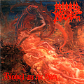 Morbid Angel - Blessed are the Sick album