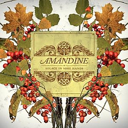 Amandine - Solace in Sore Hands album