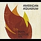 American Aquarium - Burn. Flicker. Die. album